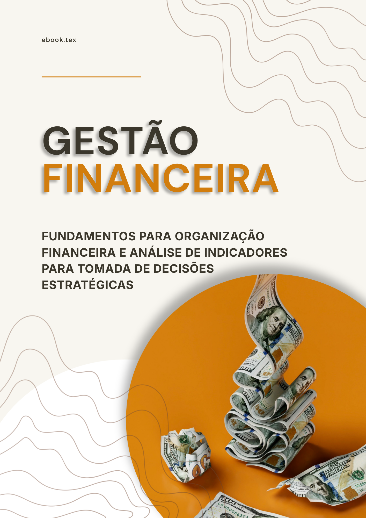 Capa do documento Gestão Financeira